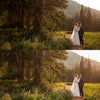 Bright Academia Lightroom Presets & DNGs