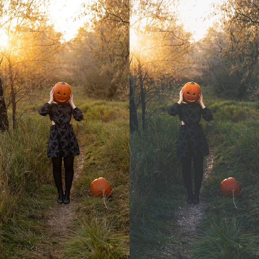 Fall Harvest Lightroom and ACR Photoshop Presets