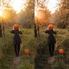Bright Academia Lightroom Presets & DNGs