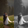 Bright Academia Lightroom Presets & DNGs