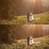 Bright Academia Lightroom Presets & DNGs