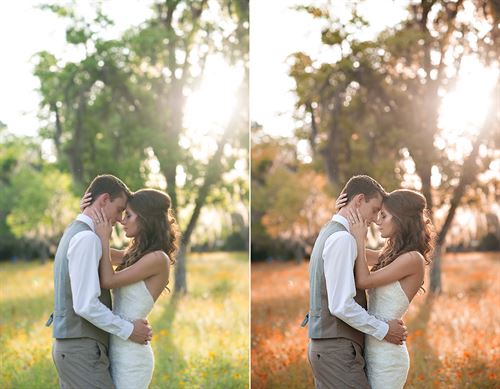 A photo of a couple standing in tall grass and trees. The after image showcases the effects of the Fall into Fall Photoshop Action and Lightroom Preset sets. It is warmer and replaces the green tones of the original image with more yellow, orange, and red hues and tones for a more autumn like appearance.