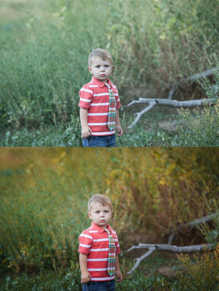 A photo of a young boy standing in tall grass. The after image showcases the effects of the Fall into Fall Photoshop Action and Lightroom Preset sets. It is warmer and replaces the green tones of the original image with more yellow, orange, and red hues and tones for a more autumn like appearance.