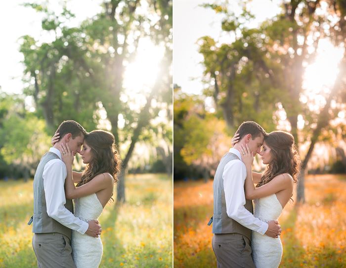 A photo of a couple sitting in tall grass. The after image showcases the effects of the Fall into Fall Photoshop Action and Lightroom Preset sets. It is warmer and replaces the green tones of the original image with more yellow, orange, and red hues and tones for a more autumn like appearance.