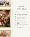 Bright Academia Lightroom Presets & DNGs