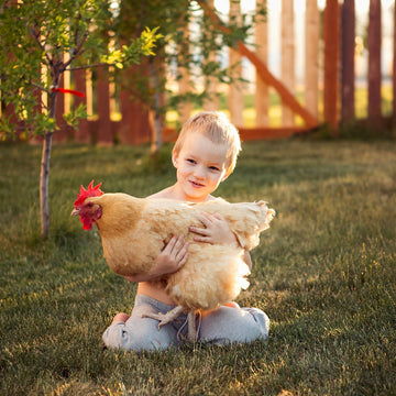 Bring The Best Our Of Your Photos In One Click—No Experience Needed