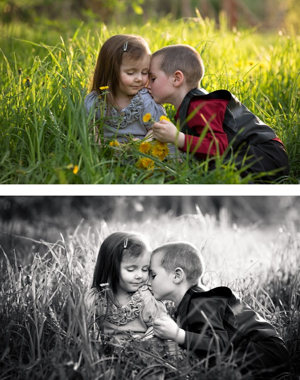 An image of a brother and sister sitting a tall grass and dandelions edited in Black and White edited with Pure Lightroom Presets volume 2
