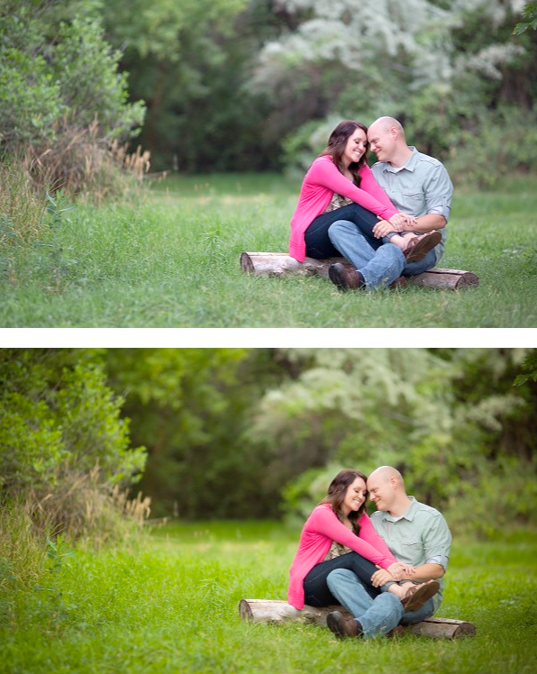An image of a couple sitting on a log in tall grass, edited using Pure Lightroom Presets Set 1.
