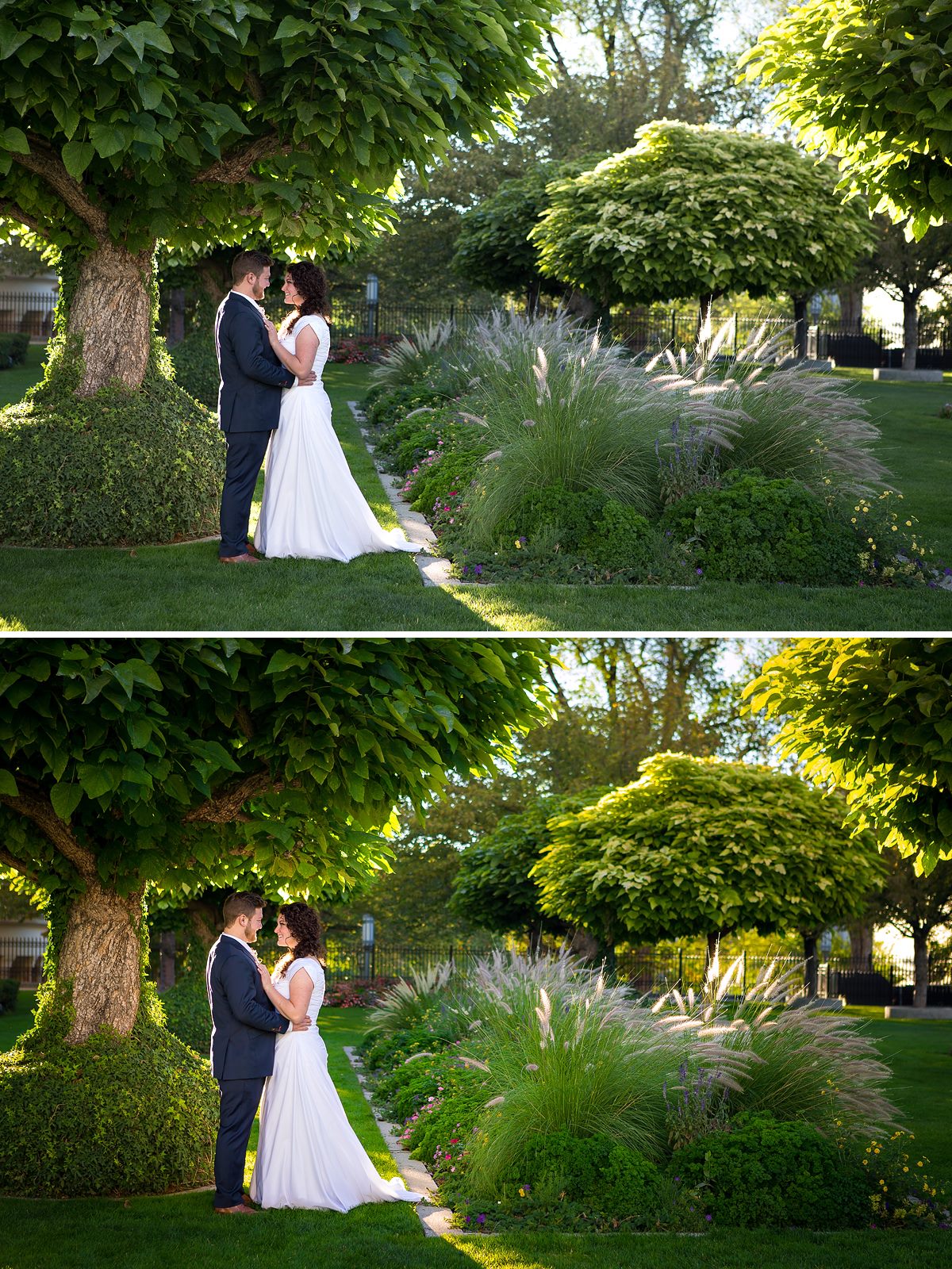 Before after of couple in a stand of trees. The after image has much more pop and contrast and color glows compared to the before action. Edited with Pure Summer Photoshop Actions and Lightroom Presets.