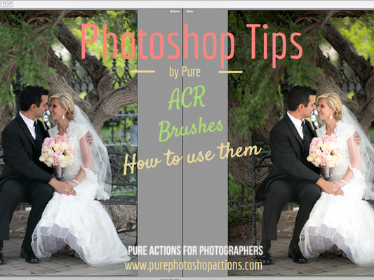 A before and after image in Lightroom Photoshop Adobe Camera Raw of a bride and groom with the second image showing how brushes work to edit the image.  The text says Photoshop Tips by Pure.  ACR Lightroom Brushes How to Use Them.