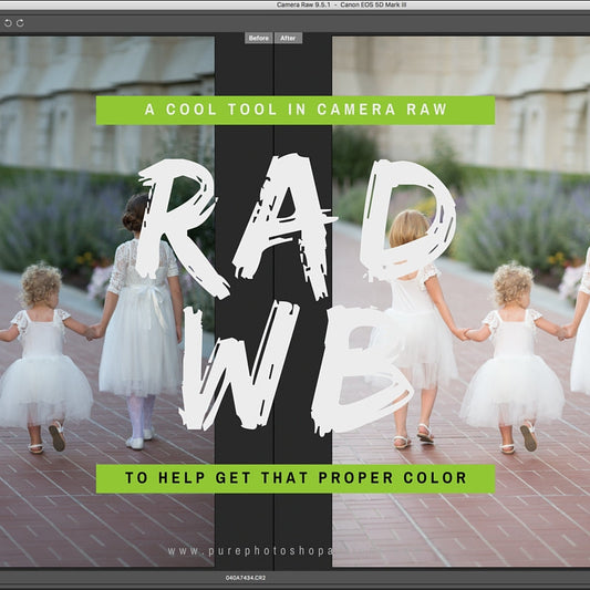 A Cool Tool to Get Proper White Balance