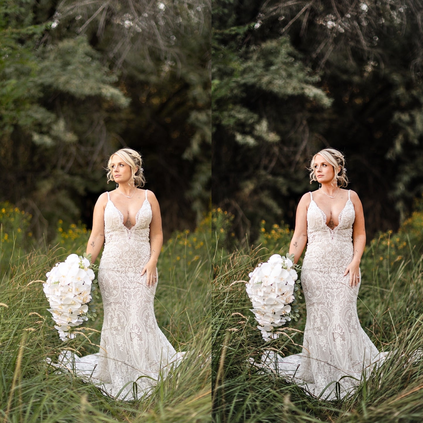 Bright Academia Lightroom Presets & DNGs