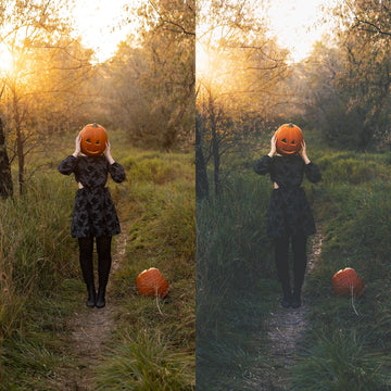 Fall Harvest Lightroom and ACR Photoshop Presets