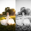 Shadow & Fern Presets for Lightroom and ACR