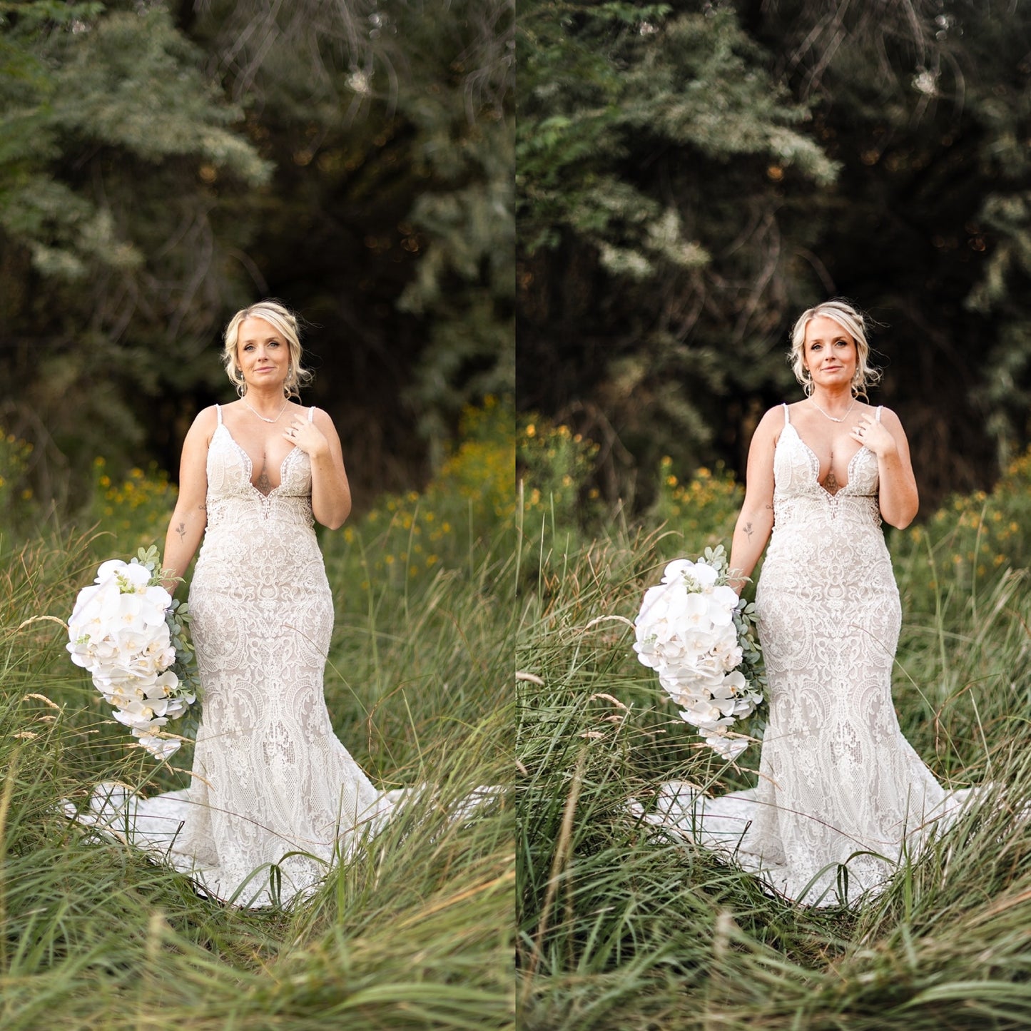 Bright Academia Lightroom Presets & DNGs