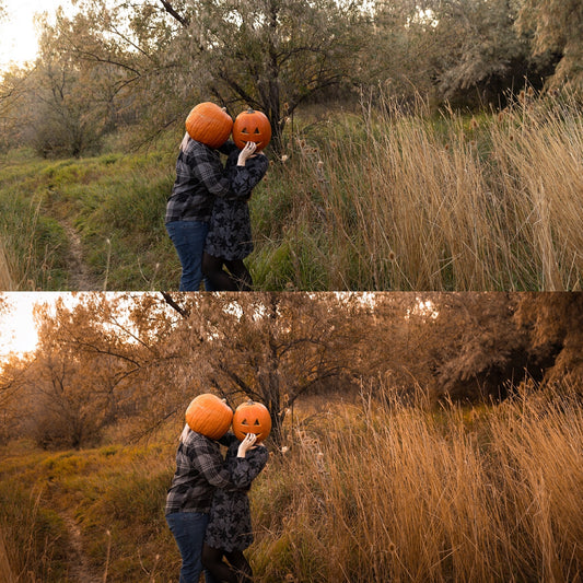 Fall Harvest Lightroom and ACR Photoshop Presets