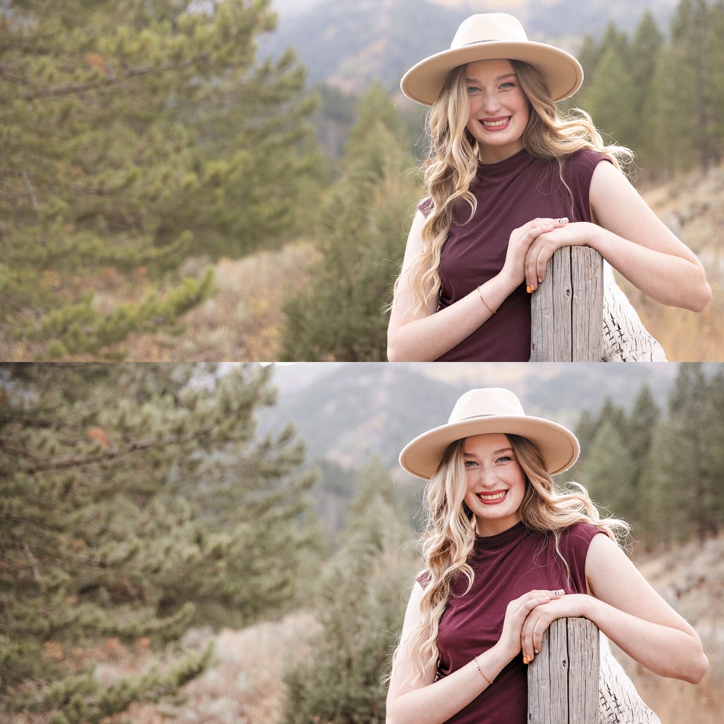 Bright Academia Lightroom Presets & DNGs