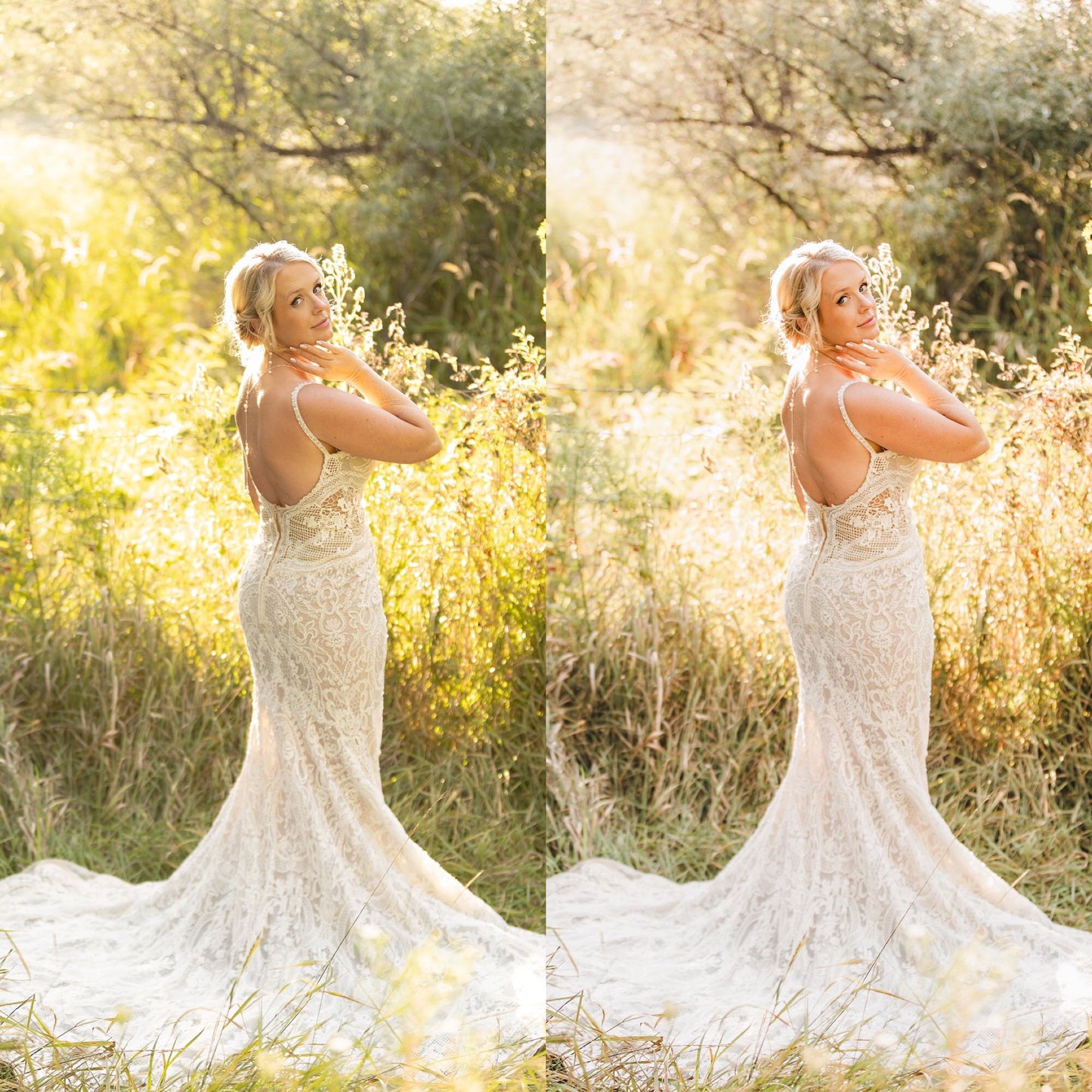 Bright Academia Lightroom Presets & DNGs