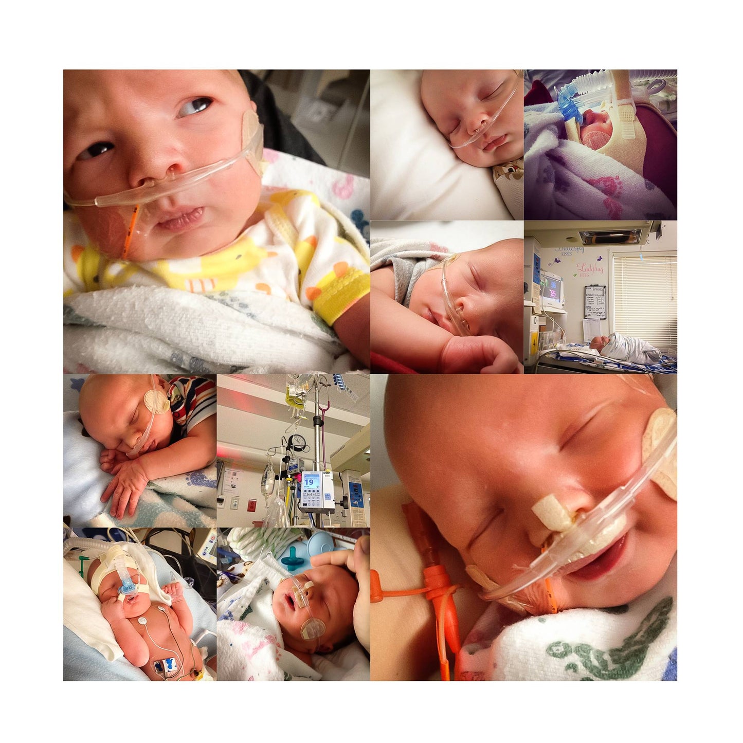 InstaPure Albums