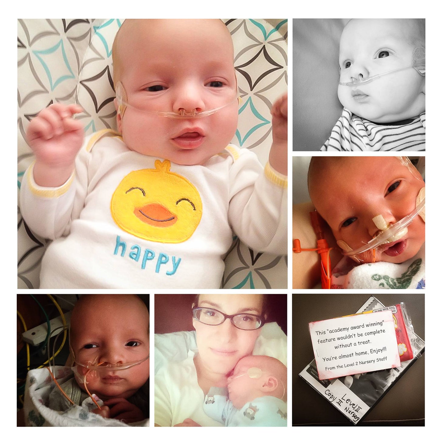 InstaPure Albums