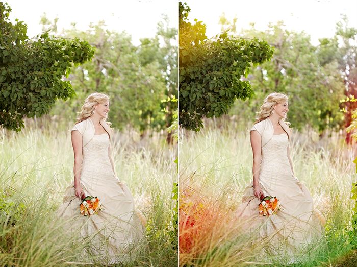Light Leaks Photoshop Action Set