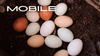 A before and after showing the effects of the Pure Clean Lightroom Mobile Presets.  Fresh chicken eggs.
