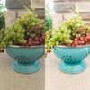 A before and after showing the effects of the Pure Clean Lightroom Mobile Presets.   Fresh grapes in a collander.