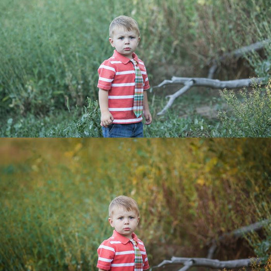 An image of a young boy standing in tall grass edited using Pure Fall into Fall Photoshop Actions and Lightroom Presets.