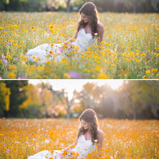 An image of a bride sitting in a field of wild flowers edited using Pure Fall into fall Photoshop Actions and Lightroom Presets.