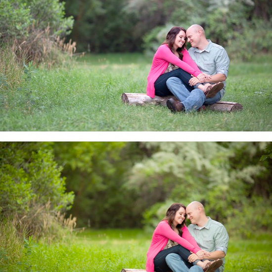 An image of a couple sitting on a log in tall grass, edited using Pure Lightroom Presets Set 1.