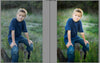 A before after of a young boy sitting on a stump in a field.  The after image has much more pop and contrast and color glows compared to the before action.  Edited with Pure Summer Photoshop Actions and Lightroom Presets.