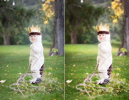 Pure Photoshop Set 2 Photoshop Actions